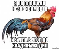я по площади независимости из угла в угол по квадрату ходил