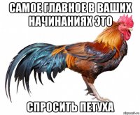 самое главное в ваших начинаниях это спросить петуха
