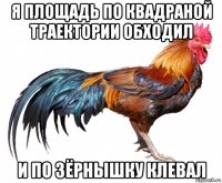 я площадь по квадраной траектории обходил и по зёрнышку клевал
