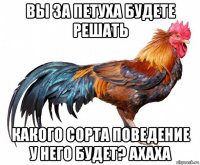 вы за петуха будете решать какого сорта поведение у него будет? ахаха