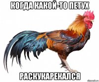 когда какой-то петух раскукарекался