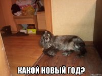  какой новый год?