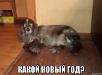  какой новый год?