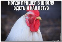 когда пришел в школу одетый как петуз 