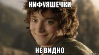 нифуяшечки не видно
