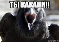ты какани!! 