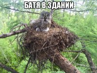 батя в здании 
