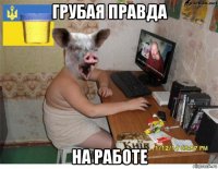 грубая правда на работе