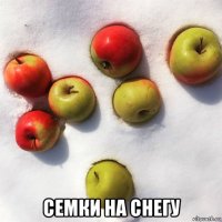  семки на снегу