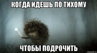 когда идешь по тихому чтобы подрочить