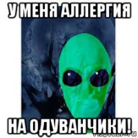 у меня аллергия на одуванчики!