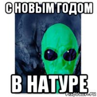 с новым годом в натуре