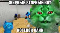 жирный зеленый кот котенок лайк