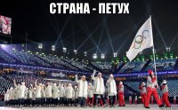 страна - петух 