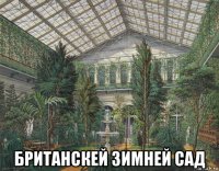  британскей зимней сад