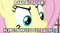 а как же потом? неужели ничего больше нет?