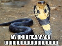  мужики педарасы шшшшшшшшшшшшш