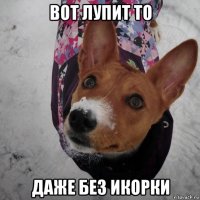 вот лупит то даже без икорки