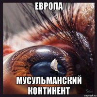 европа мусульманский континент