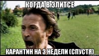 когда в элитсе карантин на 3 недели (спустя)