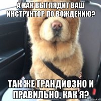 а как выглядит ваш инструктор по вождению? так же грандиозно и правильно, как я?