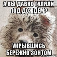 а вы давно гуляли под дождём? укрывшись бережно зонтом
