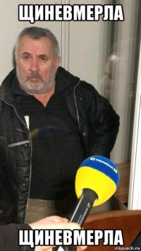 щиневмерла щиневмерла