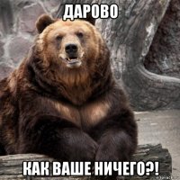 дарово как ваше ничего?!