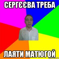 сергєєва треба лаяти матюгой