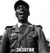  экзотик