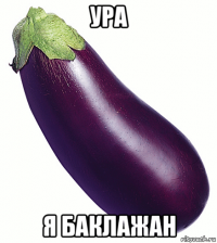 ура я баклажан