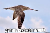  дупель рукожоп ебучий