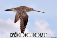  хуй с носа свисает