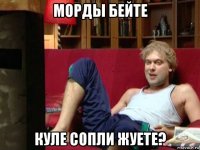 морды бейте куле сопли жуете?