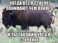когда все в стае не понимают чем воняет и ты так кайфуясь в сторонке