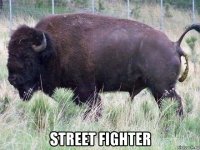  street fighter