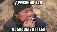 дружинин, гад лобковые от тебя