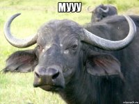 мууу 
