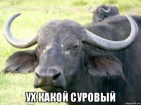  ух какой суровый