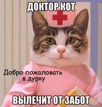 доктор кот вылечит от забот