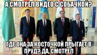 а смотрел видео с собачкой? где она за косточкой прыгает в пруд? да, смотрел