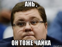 ань , он тоже чайка