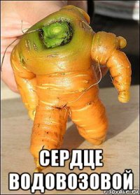  сердце водовозовой