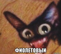  фиолетовыи