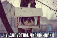  ну, допустим, чирик-чирик