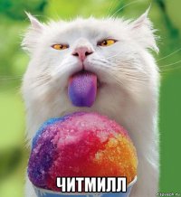 читмилл