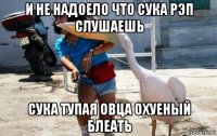 и не надоело что сука рэп слушаешь сука тупая овца охуеный блеать