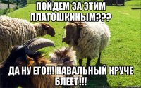 пойдем за этим платошкиным??? да ну его!!! навальный круче блеет!!!