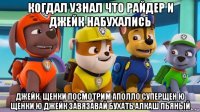 когдал узнал что райдер и джейк набухались джейк. щенки посмотрим аполло суперщен ю щенки ю джейк завязавай бухать алкаш пьяный