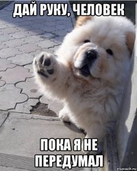 дай руку, человек пока я не передумал